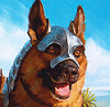 Avatar du membre